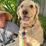 Kenny Chesney Mourns Loss of Sweet Dog, Poncho: 'My Heart Is Broken'